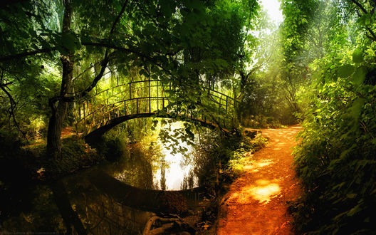 Обои на рабочий стол Красивый мост через реку в лесу