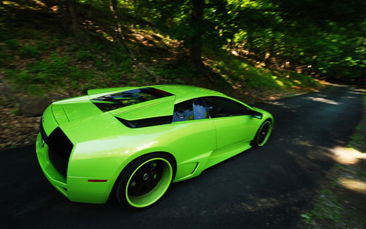 Обои на рабочий стол Салатовая lamborghini murcielago lp640 на дороге среди осеннего леса