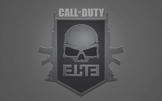 Обои на рабочий стол Для компьютерной игры Call od Duty ELITE череп вокруг которого автоматы Калашникова