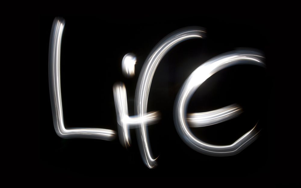 Обои для рабочего стола Life / Жизнь