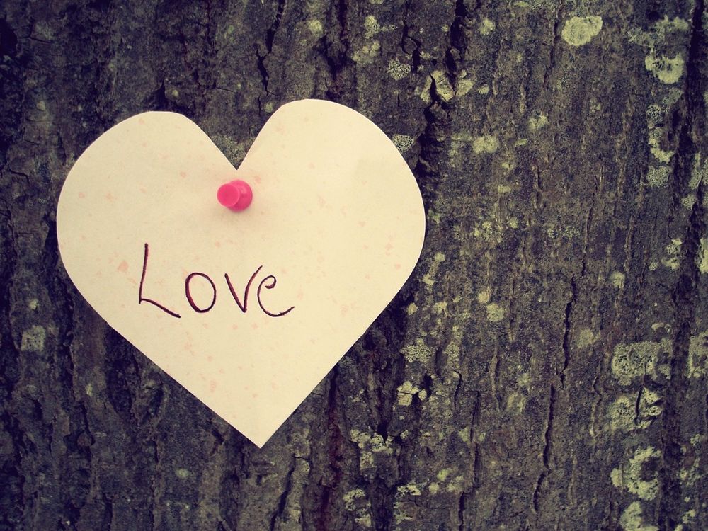Обои для рабочего стола К дереву приколото бумажное сердце (Love)