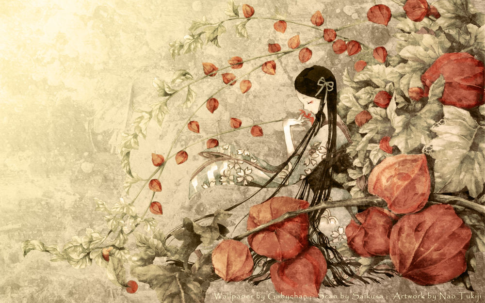 Обои для рабочего стола Девушка в зарослях физалиса (wallpaper by Gabychan; Scan by Saikusa; Artwork by Nao Tukiji)