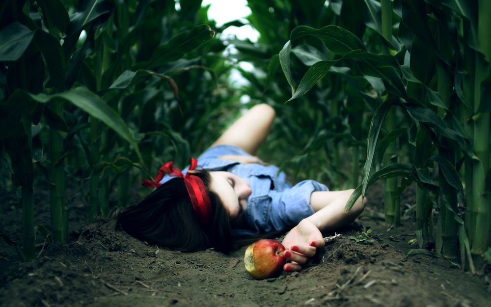 Обои для рабочего стола Белоснежка откусила кусочек отравленного яблока и теперь лежит в кукурузном поле