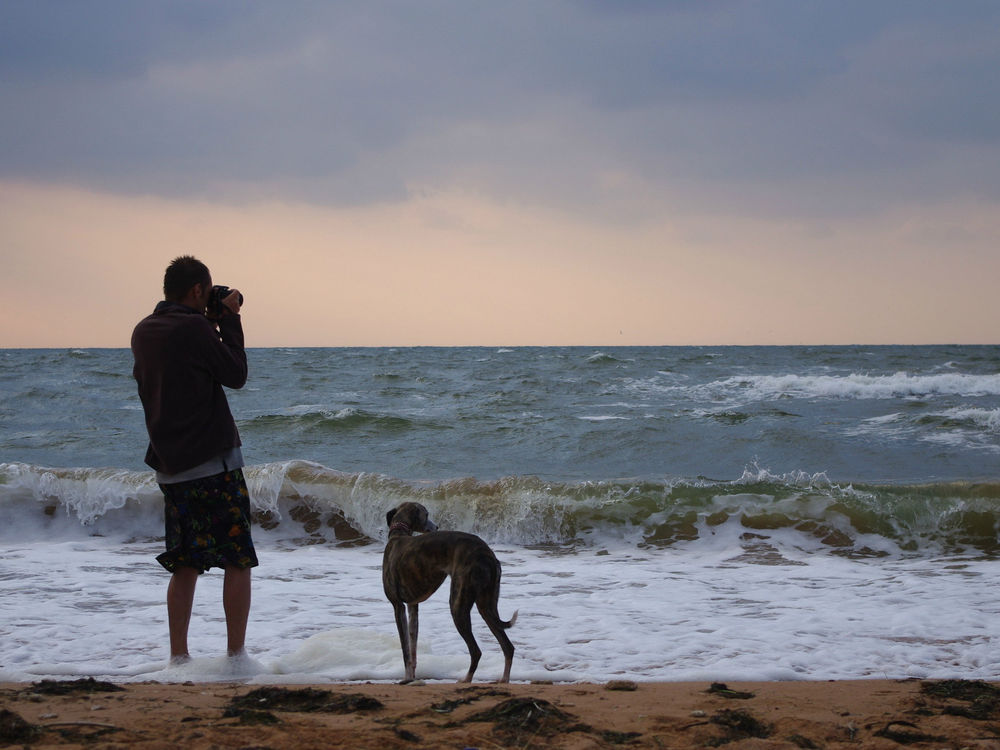 Обои для рабочего стола Парень с собакой фотографирует море