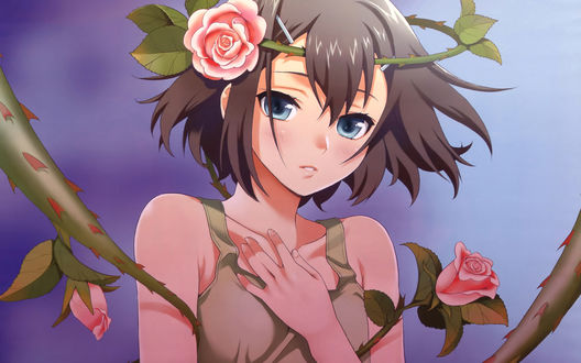 Обои на рабочий стол Kinoshita Hideyoshi / Хидеёши Киношита из аниме Baka to Test to Shoukanjuu / Дурни, тесты, аватары