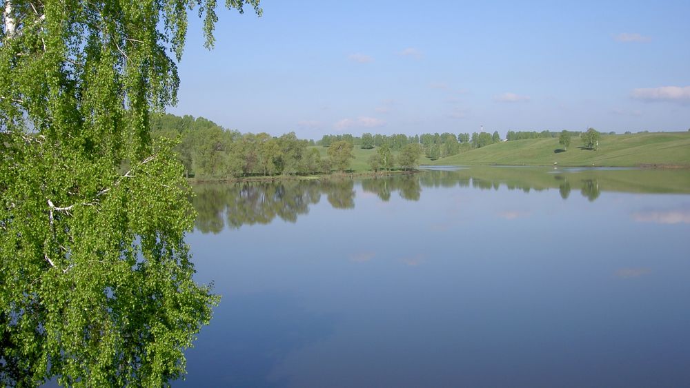 Обои для рабочего стола Типичный российский пейзаж-берёзка склонила ветви к воде, пологие холмы с редкими деревцами и голубое небо