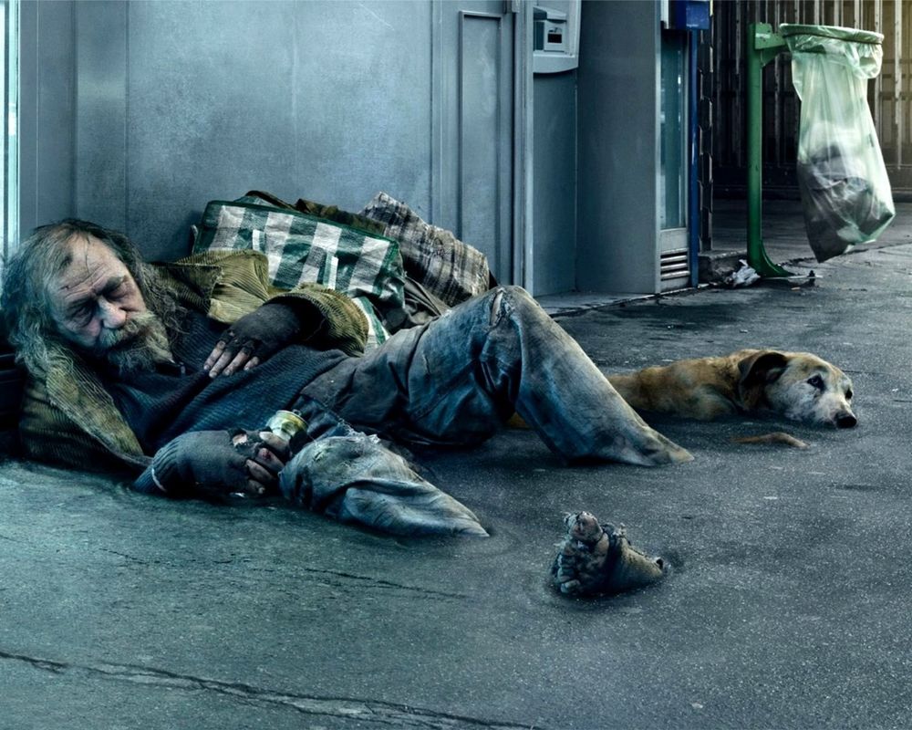 Обои для рабочего стола Бездомный человек и бродячий пес слились с осфальтом и стали частью городского ландшафта