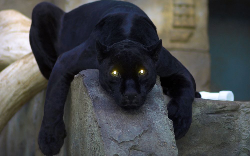 Статуэтка пантера черная для интерьера