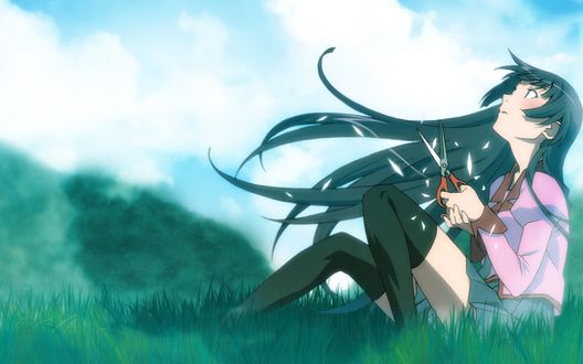 Обои на рабочий стол Hitagi Sendzegahara из аниме 'Bakemonogatari' с ножницами сидит на траве и смотрит в небо