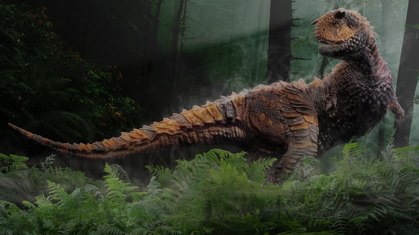 Обои на рабочий стол Карнотавр (Плотоядный бык) / Carnotaurus sastrei