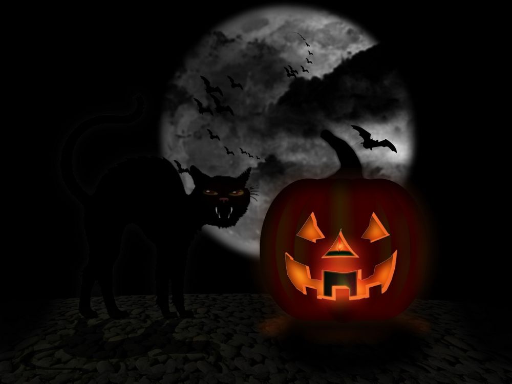 Обои для рабочего стола Светильник Джека, черный кот, в ночном небе-летучая мышь в Хэллоуин / Haloween