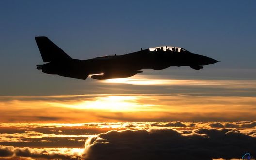 Обои на рабочий стол Истребитель F-14 на закате над облаками