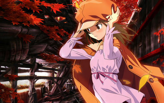 Обои на рабочий стол Надэко Сенгоку / Nadeko Sengoku  из аниме 'Истории Чудовищ' / 'Bakemonogatari' держится за шляпу, чтобы ее не унесло ветром