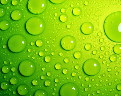 Обои на рабочий стол Капли воды на зеленой поверхности