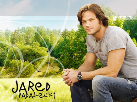 Обои на рабочий стол Актер Джаред Падалеки / Jared Padalecki