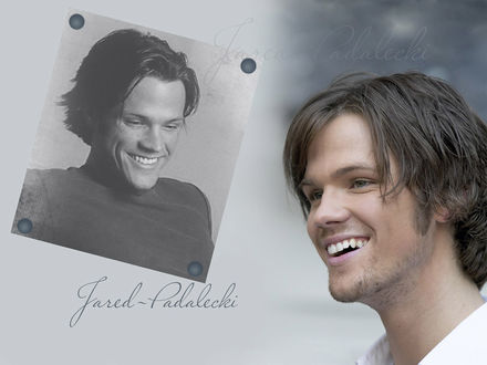 Обои на рабочий стол Актер Джаред Падалеки / Jared Padalecki