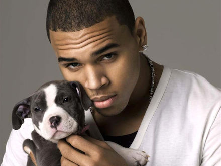 Обои на рабочий стол Певец Крис Браун / Chris Brown с щенком