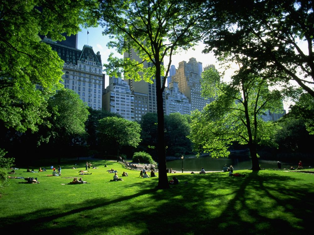 Обои для рабочего стола Central Park, Нью-Йорк, США