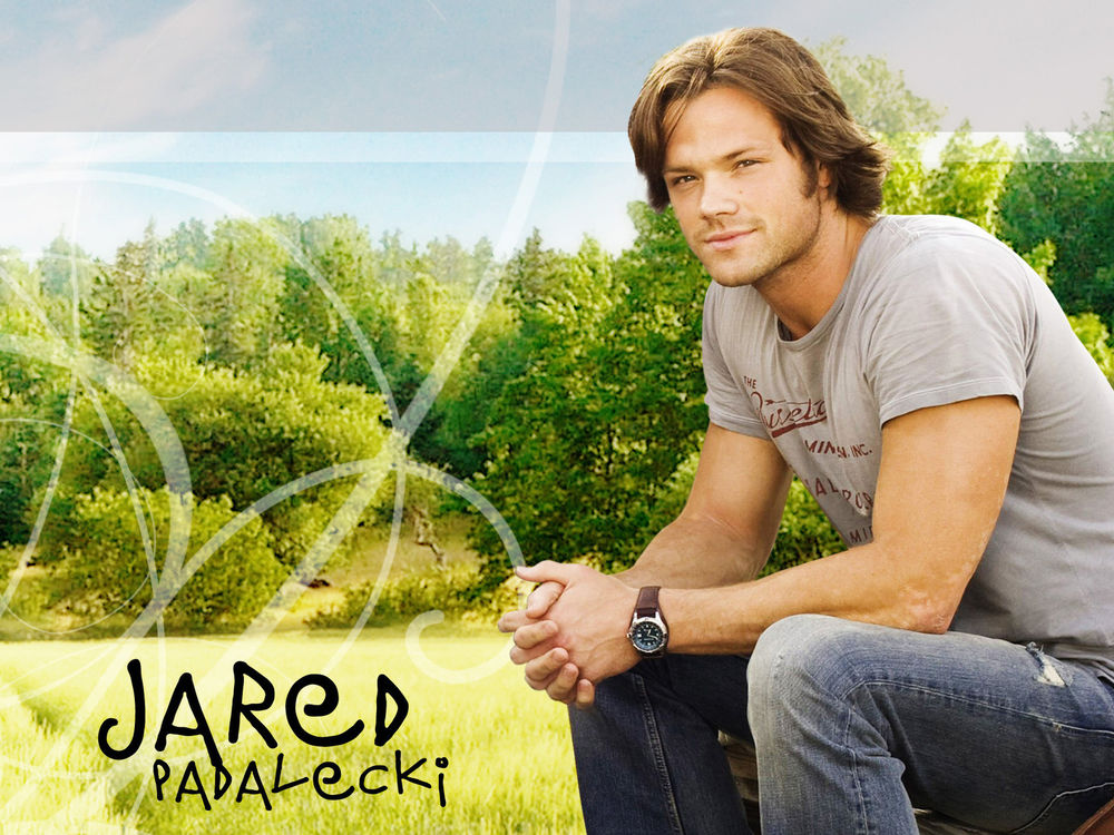 Обои для рабочего стола Актер Джаред Падалеки / Jared Padalecki