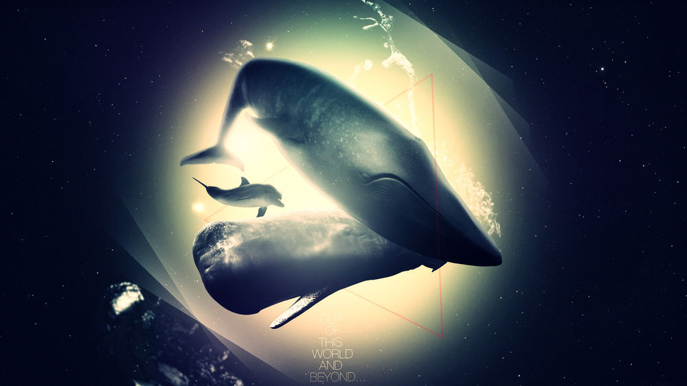 Обои для рабочего стола Киты и дельфин в космосе (Out of this world and beyond)