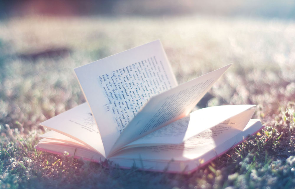 Обои для рабочего стола Книга лежит на траве под лучами солнца