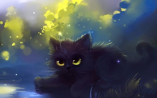Обои на рабочий стол Милый черный котенок