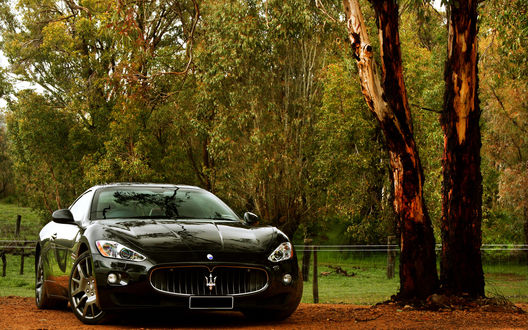 Обои на рабочий стол Maserati granturismo черного цвета стоит возле леса
