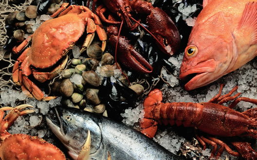 Обои на рабочий стол Замороженные морепродукты: крабы, мидии, омары, рыба