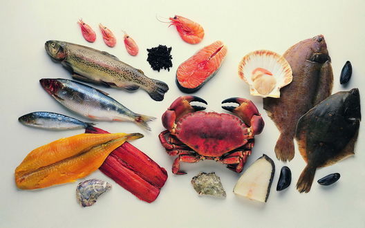 Обои на рабочий стол Морепродукты: рыба, крабы и устрицы