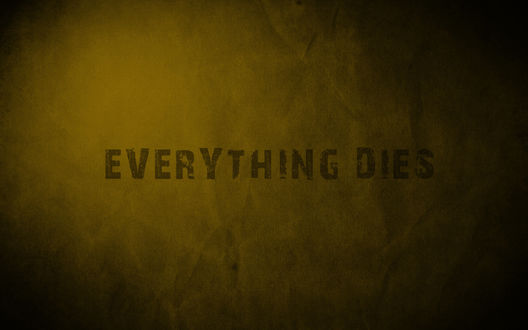 Обои на рабочий стол Всё умирает / Everything dies