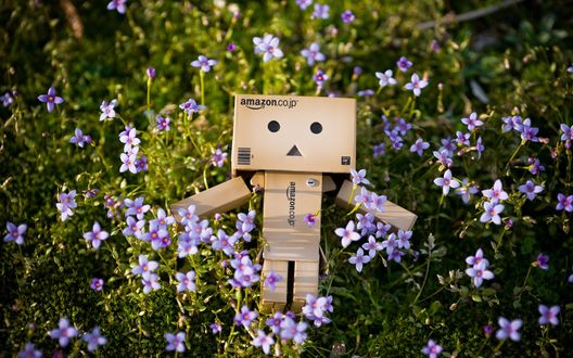 Обои на рабочий стол Коробочный человечек Данбо / Danbo лежит в траве