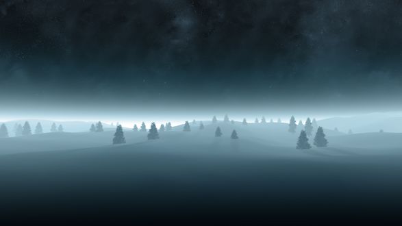 Обои на рабочий стол Звёздное небо зимою над ельником