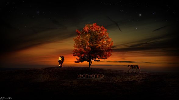Обои на рабочий стол Львы у древа жизни (Gathering)
