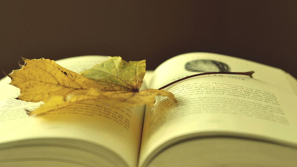 Обои для рабочего стола Кленовый лист лежит на книге