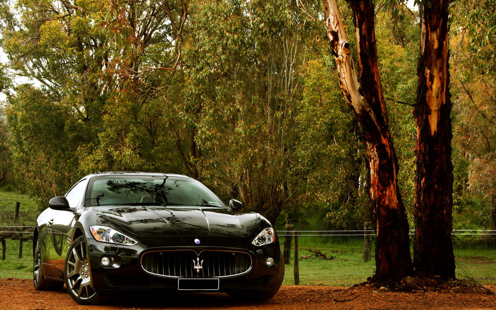 Обои для рабочего стола Maserati granturismo черного цвета стоит возле леса
