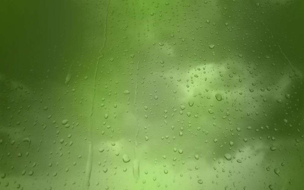 Обои для рабочего стола Капли воды на зеленом фоне