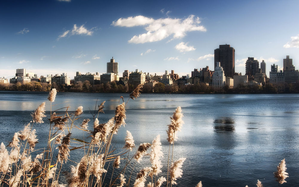 Обои для рабочего стола Центральный Нью-Йоркский Парк / Central New York Park
