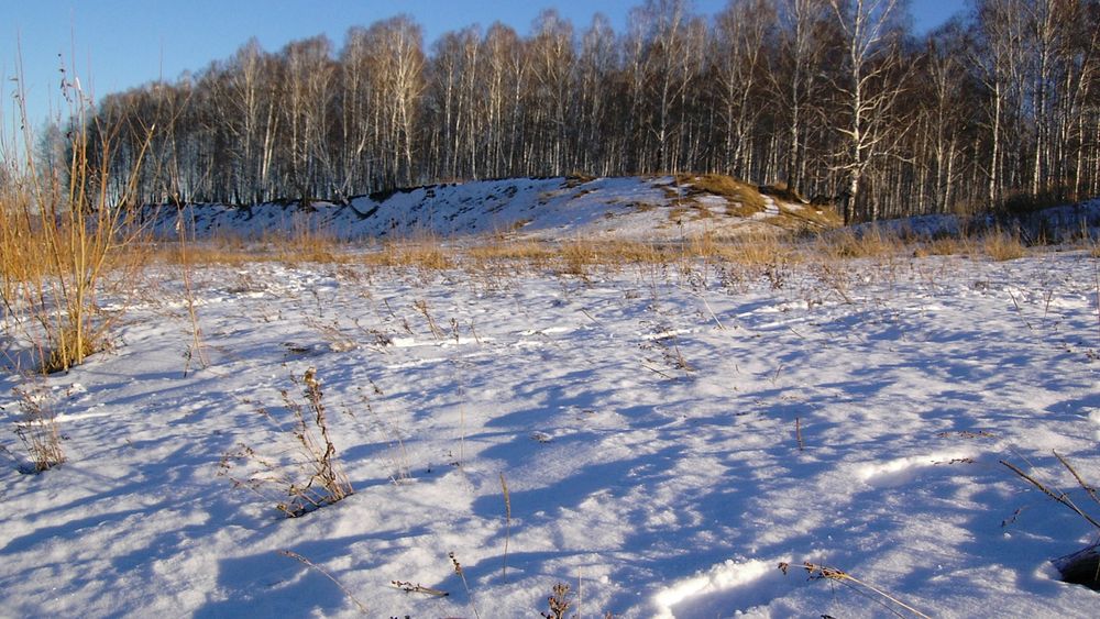 Обои для рабочего стола Зима в лесу и на соседнем поле