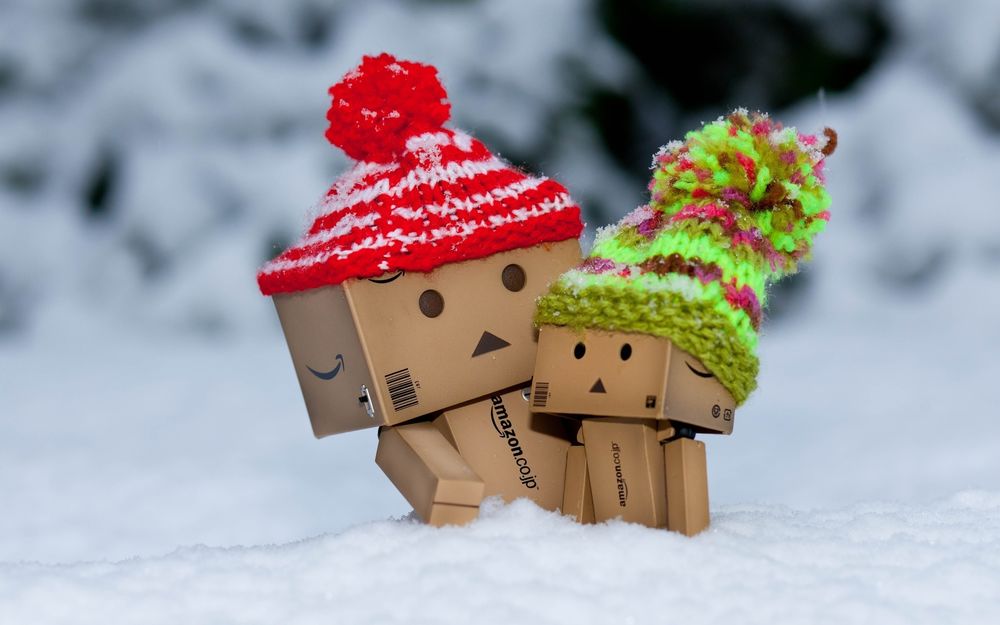 Обои для рабочего стола Две коробочки Данбо / Danbo в смешных шапочках стоят в снегу