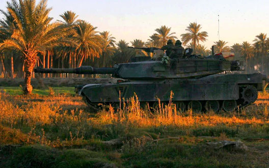 Обои на рабочий стол Танк M1A1 Abrams / М1А1 Абрамс под пальмами 