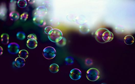 Фото с мыльными пузырями на природе