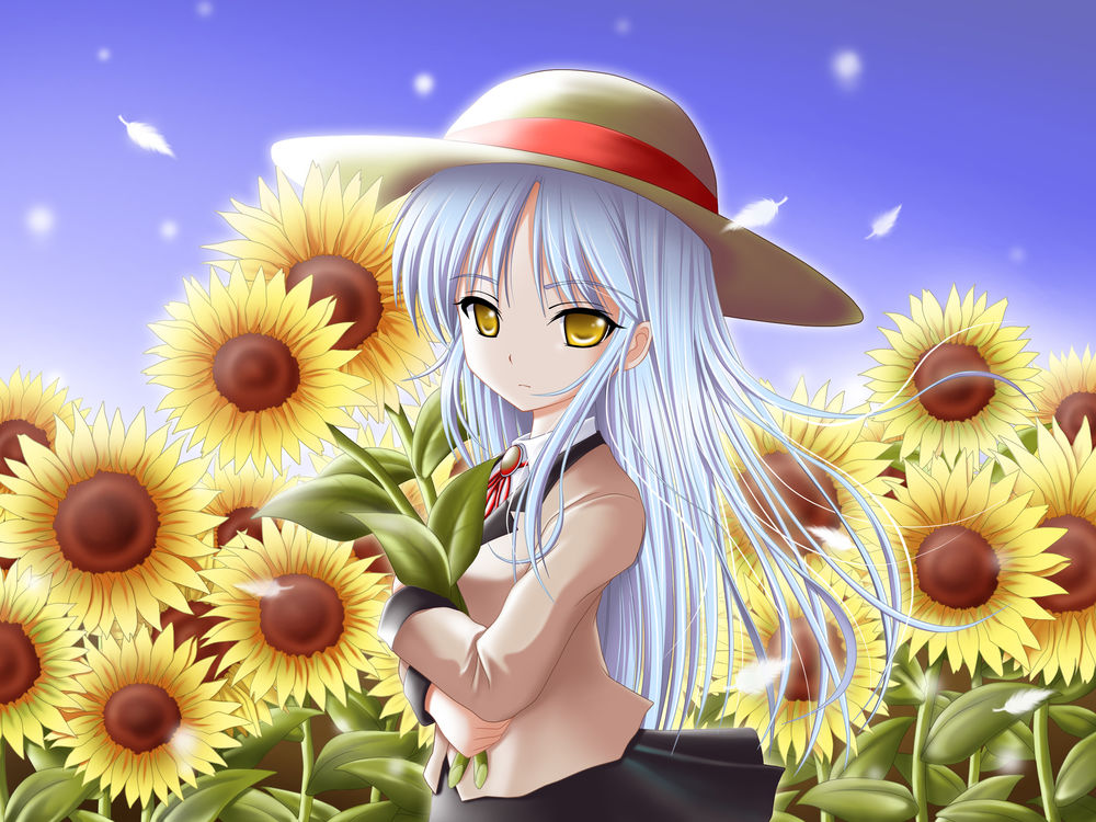 Обои для рабочего стола Tachibana Kanade (Tenshi) / Тачибана Канаде (Тенши) из аниме Ангельские Ритмы / Angel Beats в поле собирает подсолнухи