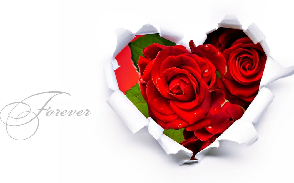 Обои для рабочего стола Розы в бумажном сердце (Forever)