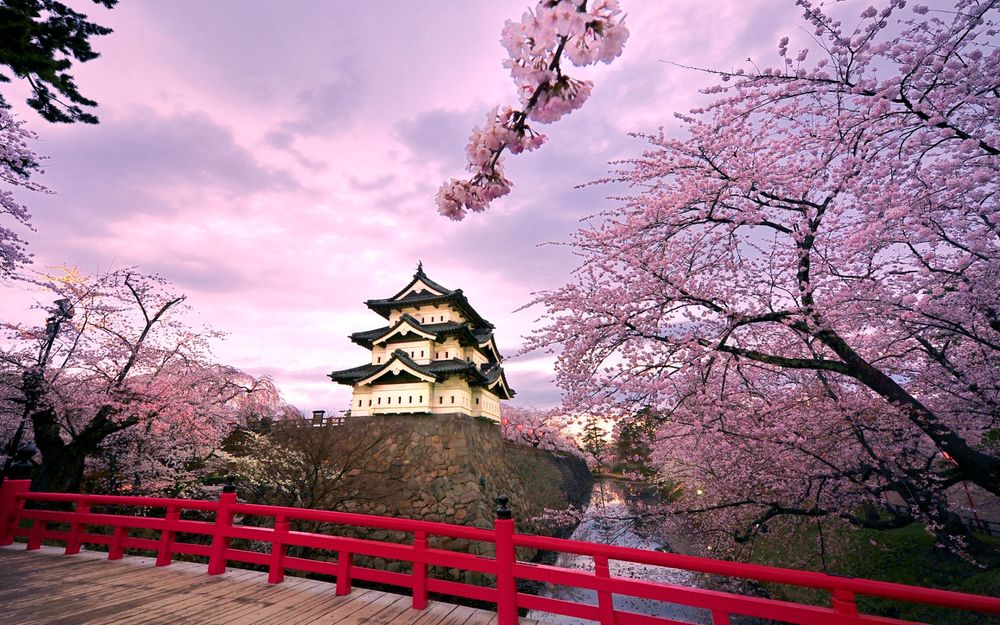 Обои для рабочего стола Hirosaki Castle / замок Хиросаки среди цветущей сакуры, вид с моста, Japan / Япония