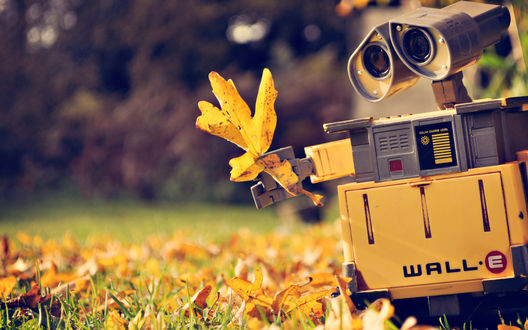 Обои на рабочий стол Робот Wall-E / Валли с осеннем желтым листом