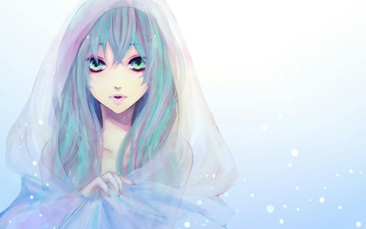 Обои на рабочий стол Vocaloid Hatsune Miku / Вокалоид Хатсуне Мику в прозрачной накидке