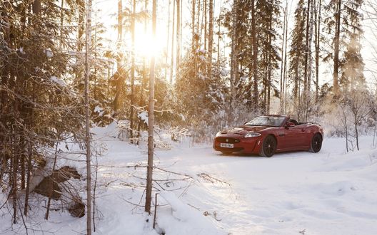 Обои на рабочий стол Jaguar / Ягуар xkr-s в снежном лесу