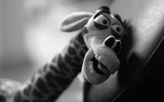Обои на рабочий стол Игрушка в виде жирафа Мэлмана / Melman из мультфильма Мадагаскар / Madagaskar