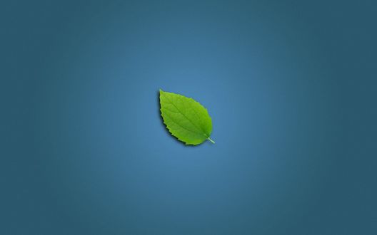 Обои на рабочий стол Зеленый листок