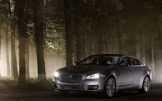Обои на рабочий стол Jaguar XJ / Ягуар ХЖ стоит в темном лесу на дороге